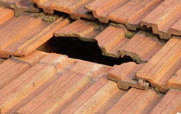 roof repair Ddol Cownwy, Powys