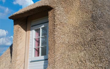 Ddol Cownwy thatch roof disadvantages