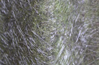 Ddol Cownwy fibreglass roof work