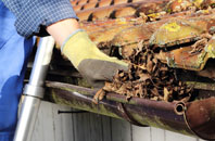 Ddol Cownwy gutter cleaners